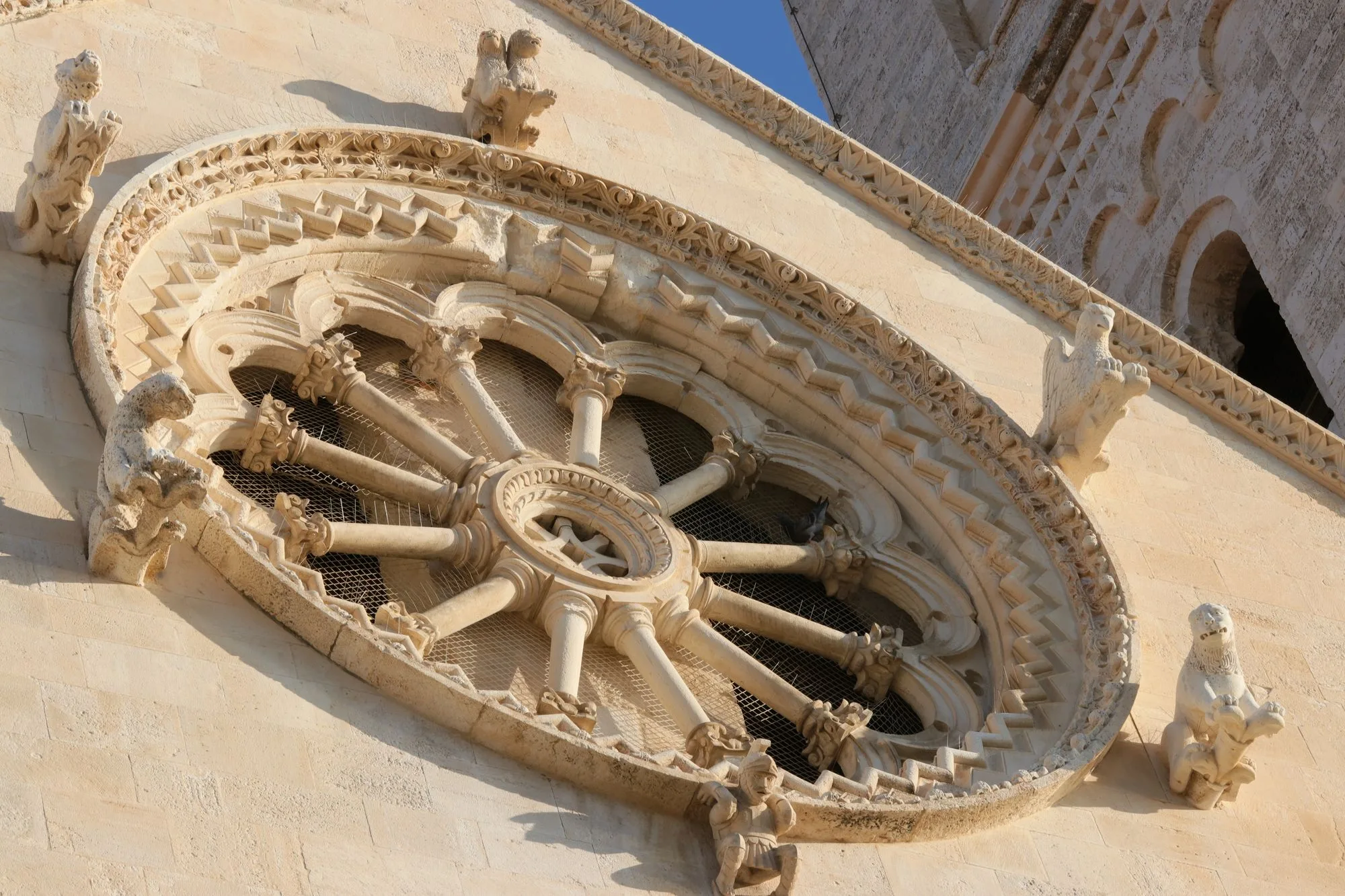 rosone cattedrale