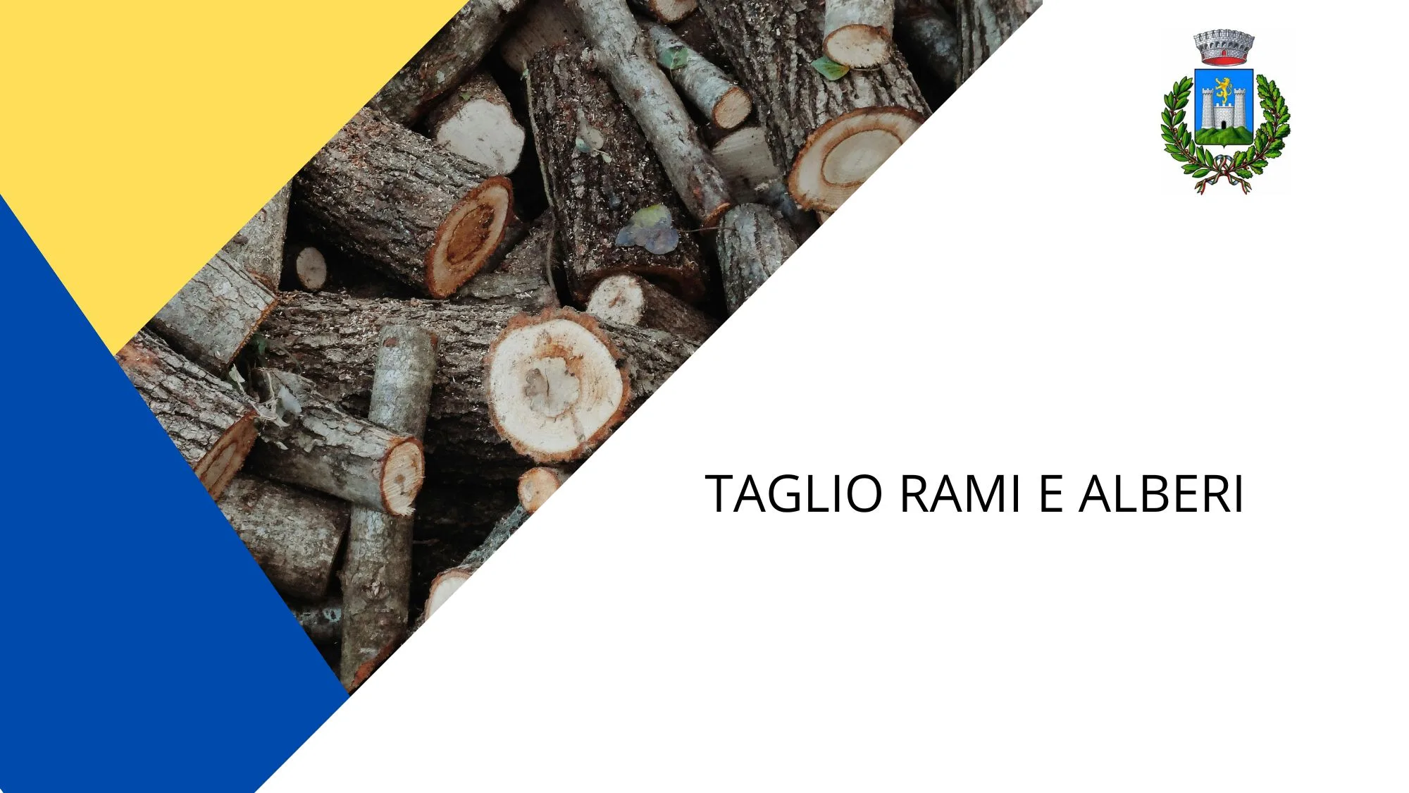 TAGLIO RAMI E ALBERI